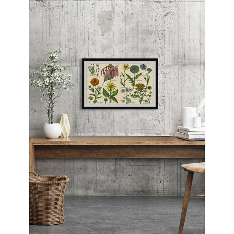 Southern Globethistle - Single Picture Frame Painting, 38cm H x 45cm W x 3.81cm D