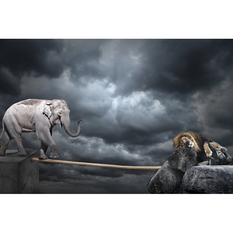 Elephant On Tightrope Sky - Wrapped Canvas Print, 61cm H x 91cm W x 3.8cm D