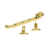 Polished Brass