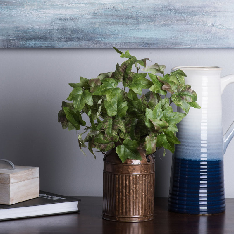 Ivy Bush