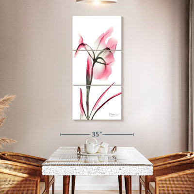 Pink Infused Iris II
