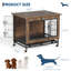Dog House
