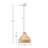 Ceiling Light Fixture