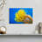 Brampt Yellow Feather Starfish-107847532