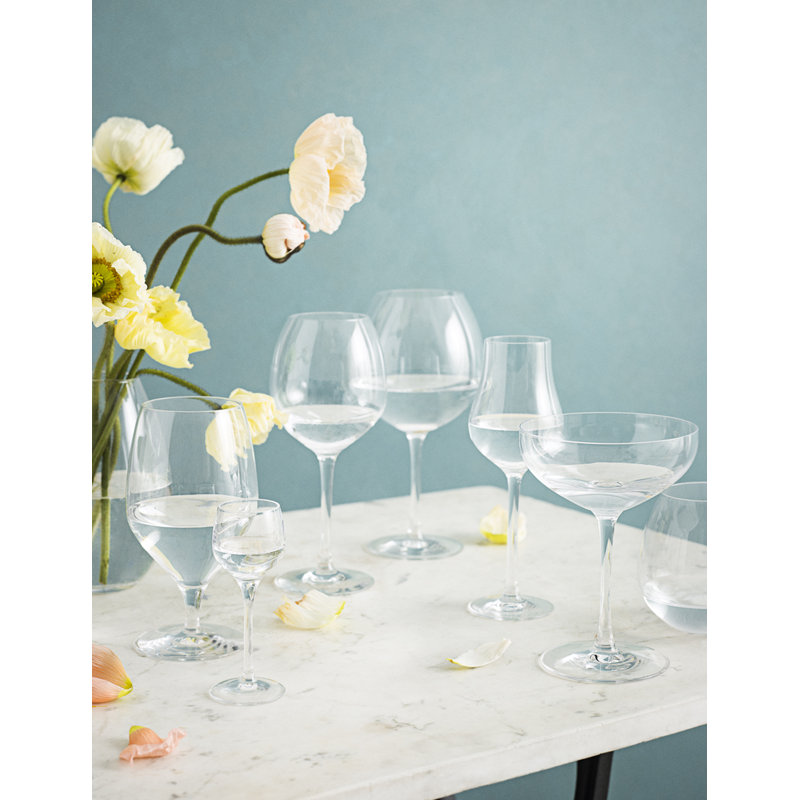 Premium Tulip Glass