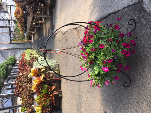 Karthic Metal Weather Resistant Plant Stand