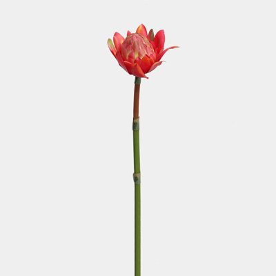 Waratah Protea Faux Floral