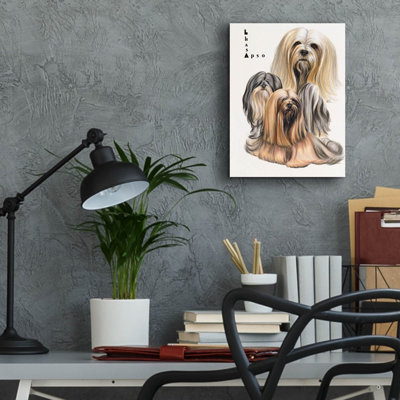 " Lhasa Apso " by Barbara Keith