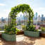 Jardinières multifonctionnelles, grande arche moderne en acier galvanisé pour le jardin
