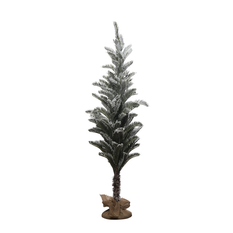 Sapin de Noël, 5'