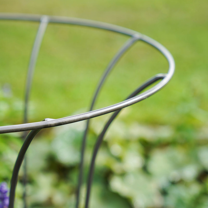 Fluted Climber, Zinc