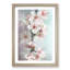 White Blossoms in Abstract - Framed Print-55612034-55612029