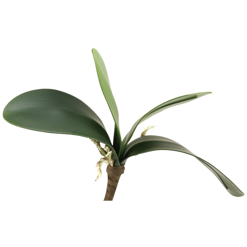 5'' Faux Orchid Foliage Plant
