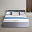 Brigida Upholstered Velvet Lift Up Storage Ottoman Bed-1345226835-1404413568