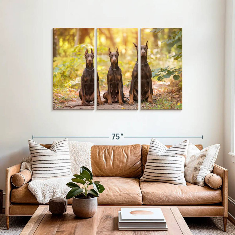 Brampt Doberman Pinschers, 36" H x 57" W