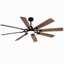 Grand ventilateur de plafond avec lumière: ventilateur de plafond moderne à 8 pales de 72 pouces avec télécommande - grand ventilateur noir à intensité variable pour l'intérieur, réversible, moteur à courant continu silencieux à 6 vitesses