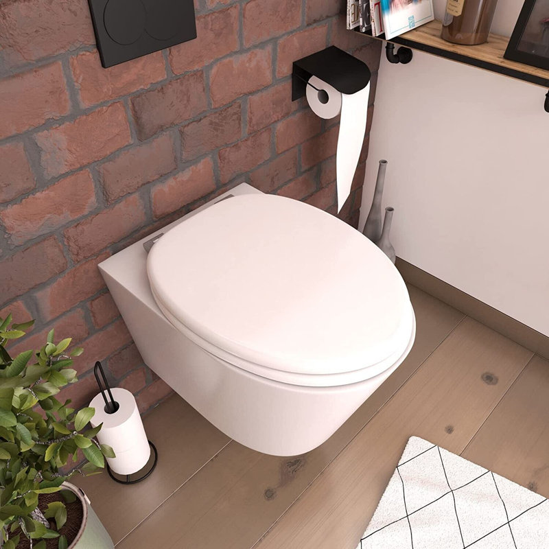 Actaeon Soft Close Elongated Standard Toilet Seat, White