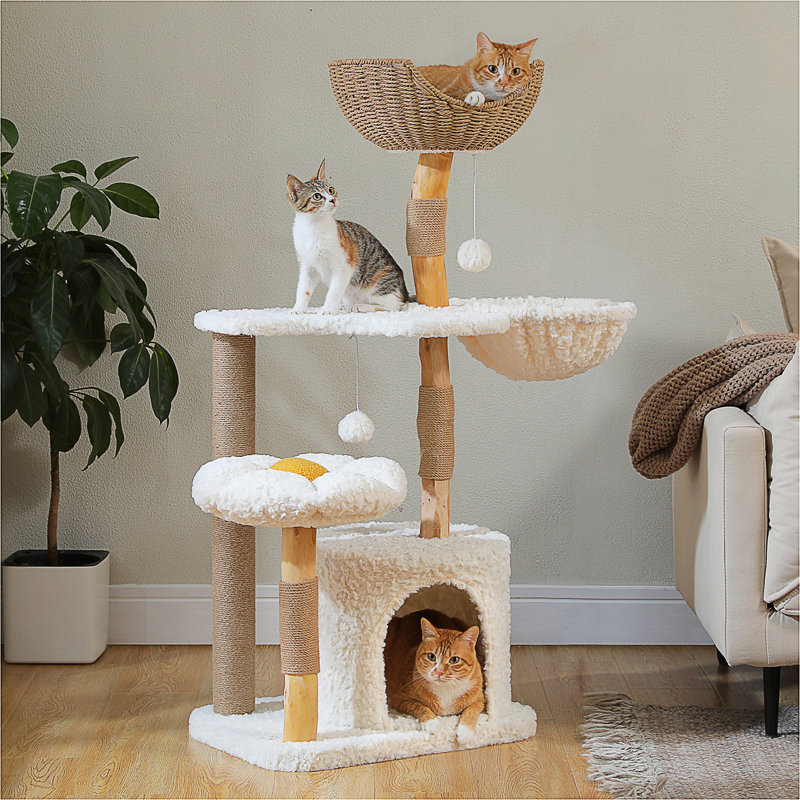 Arbre à chat