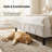 Velvet Upholstered Bed with Wingback Headboard-195891510-195891511