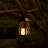 10.25'' Battery Powered Outdoor Lantern