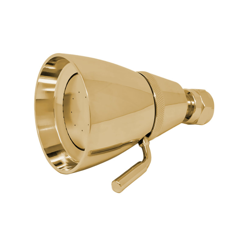 Shower Head 3" Diameter, Unlacquered Satin Brass