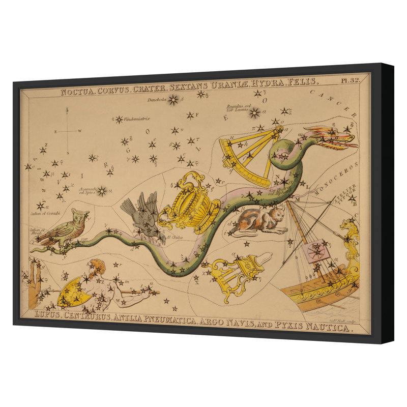 Noctua Print by Grand Archives, Black Framed, 32" H x 45" W