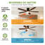 132cm Ceiling Fan-1142869967-1142869960