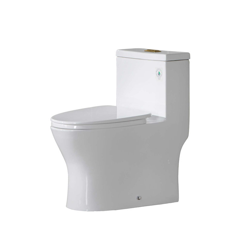 Toilette allongée une pièce à double chasse 1,28 GPF avec siège à fermeture douce, chasse d'eau 1000G, Blanc/or brossé