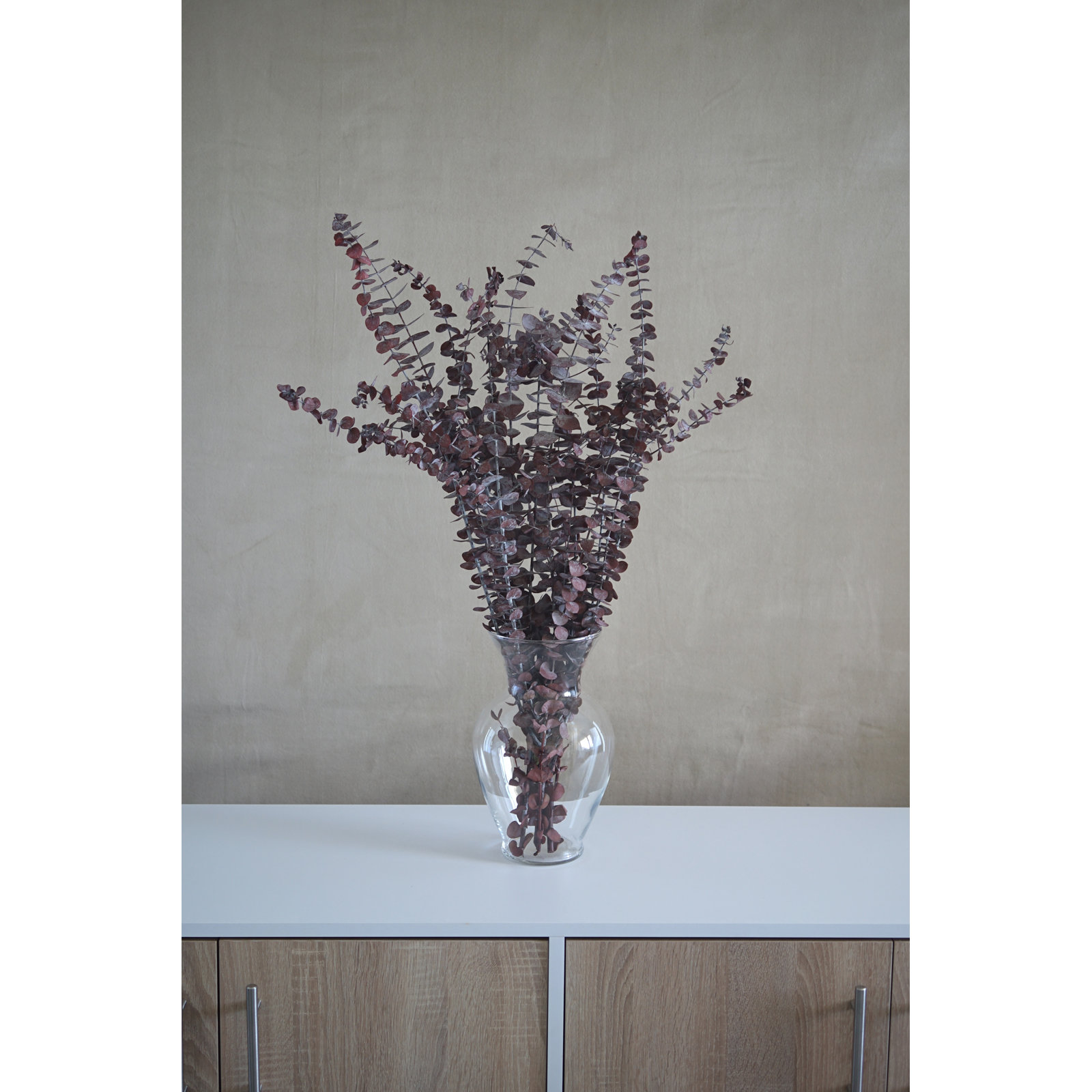 Preserved Eucalyptus Stems, Red