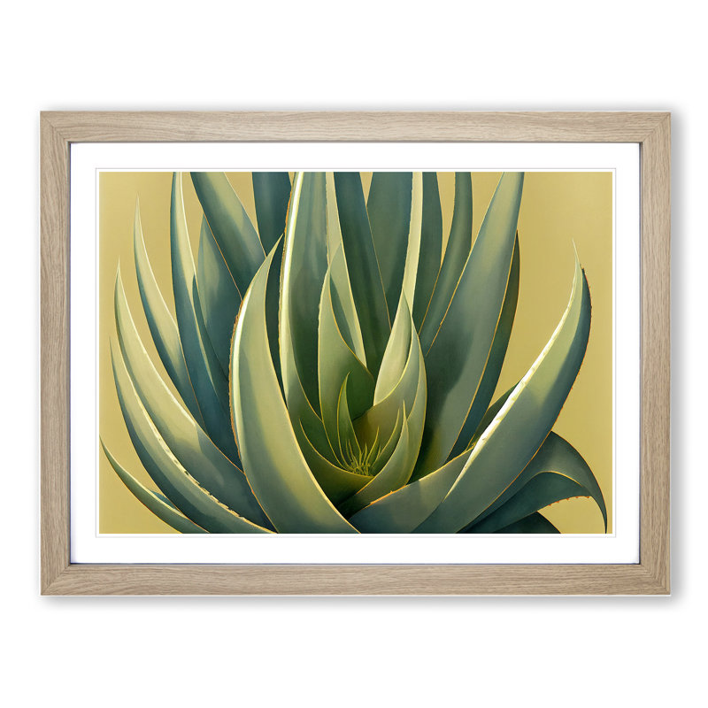 Lush Aloe Vera Plant - Single Picture Frame Print, 34cm H x 46cm W x 2cm D, Oak