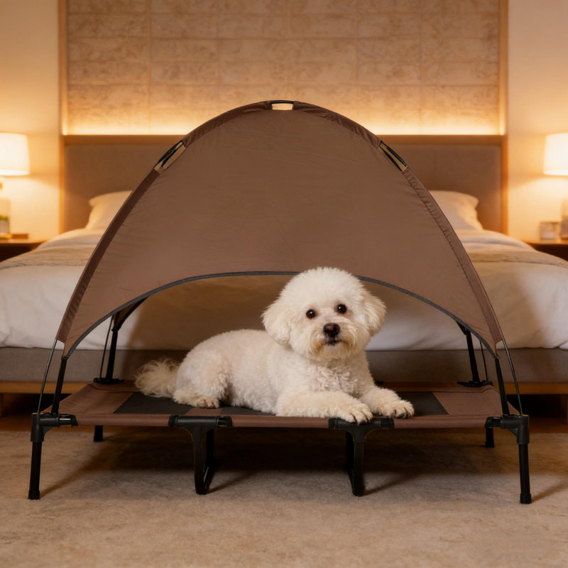 Lit portatif pour animal de compagnie, lit pour chien portatif surélevé, Café