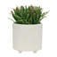 Jardinières texturées S / 2 6/8 po-1864650297