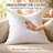 Continental Bedding 10% Goose Down & 90% Goose Feather Throw Pillow Inserts, Firm Supportive Decorative Pillows, 233TC Cotton Cover-93653225