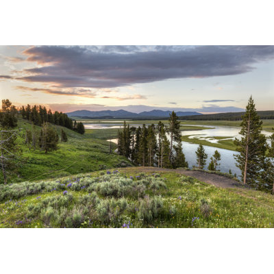 Staci Wildflower Sunset - Wrapped Canvas Print