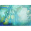 « watermark forest » par parvez taj,, reproduction d’art sur toile tendue-14058432