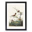 Wrens by John James Audubon - Picture Frame Painting Print-55614443-55614439