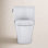 Aquia® IV Dual-Flush 2-Piece Toilet