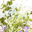 Tiges en fausse soie