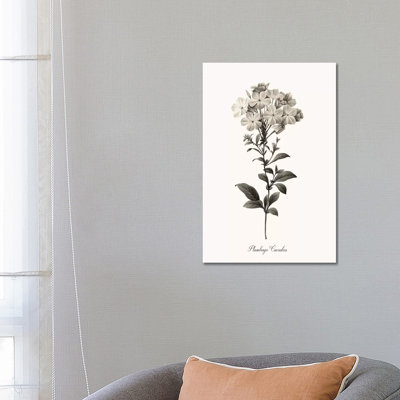 Sketchbook Leadwort 1 Piece Wrapped Canvas Wall Art