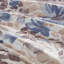 Très grand lit dans un sac avec édredon et draps à motif floral bleu, matelas de 16 po, microfibre douce, lavable à la machine, très grand lit et aquarelle