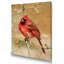 «Grunge Red Cardinal Bird», reproduction d'art sur toile encadrée-609345110-609345116