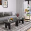 Ensemble de tables basses Modern Modern