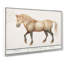 A Horse by A.B. De Boodt - Wrapped Canvas-55299196