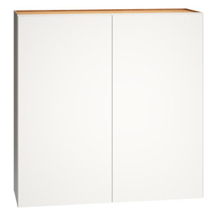 Dwelling Rosemont Fully Assembled 2-Door Standard Wall Cabinet with 2 Adjustable Shelves