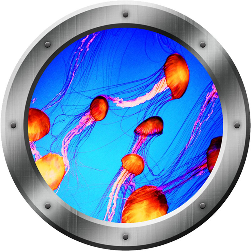 Décalcomanie murale animaux de l’océan Stegall Porthole, H 24 po x l 24 po