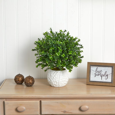 17'' Faux Boxwood Plant in Ceramic Decorative Vase