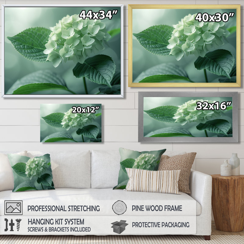 «Tropical», hydrangées monochromes vert photo I - hydrangées, art mural salon, Cadre flottant blanc, H 16 po x l 32 po
