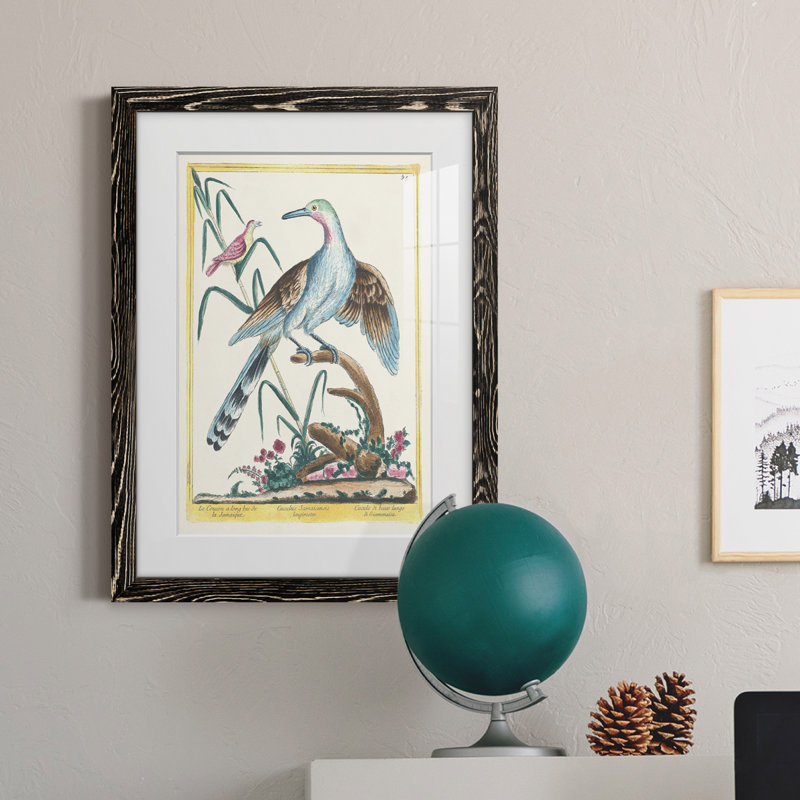 Pastel Birds V Premium encadré mat - prêt à être accroché, H 44 po x l 31 po x P 1 po, Cadre noir