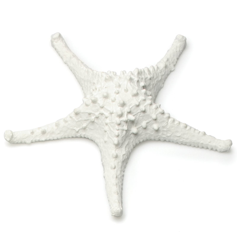 Figurine de décoration blanche étoile de mer 3D