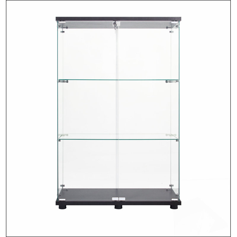 Vitrine à deux portes avec 3 tablettes, rangement durable et élégant pour la décoration de la maison et du bureau
